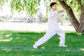 Handsome man practicing thai chi