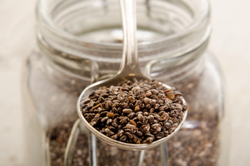 chia seed on a metal spoon