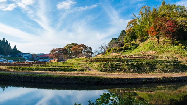 秋の田んぼと通潤橋
