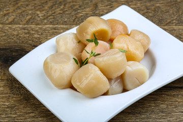 Raw scallops