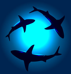 Obraz premium Vector background with floating sharks