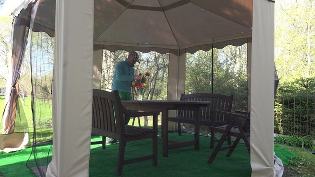 Florist man soak dap freshly picked colorful tulip flowers to vase on wooden table in outdoor garden bower arbor. Spring time. Static shot. 4K UHD video clip.

