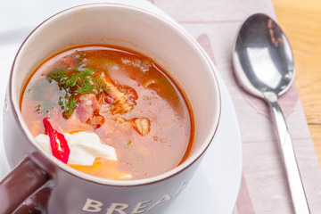 Traditional Ukrainian Russian vegetable soup, borsch