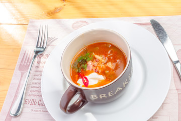 Traditional Ukrainian Russian vegetable soup, borsch