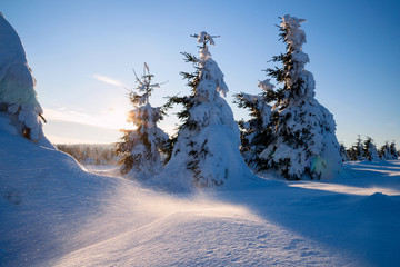 Winterlandschaft im Erzgebirge