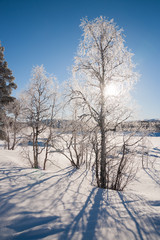 Winterlandschaft in Schweden