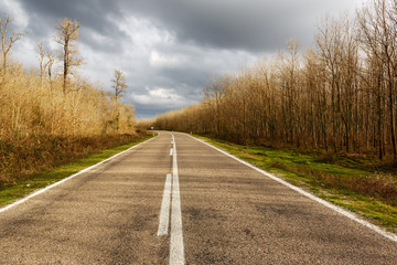 Highway passing through rural ares and forests