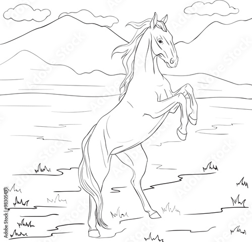 "Coloring page with horse" Stock image and royalty-free vector files on