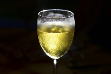 Glass with beer on the counter light