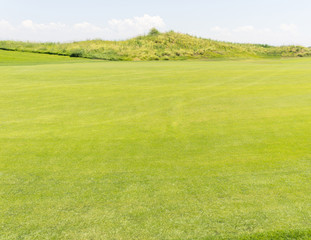Perfect grass meadow