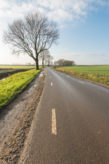 Country road in the fall season