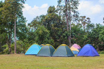 tent on campground in morning