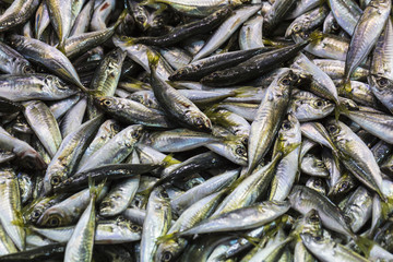 Fototapeta premium Fish market, Galata waterfront, Istanbul