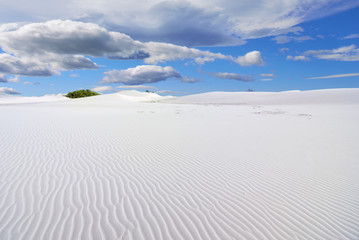  White sand dunes, Socotra