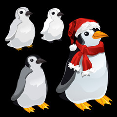 Three images of a penguin and a penguin Santa,