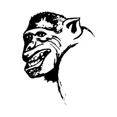 Aggressive monkey grin monkey (abstract)