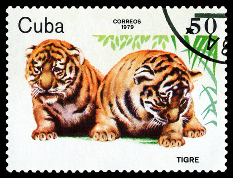 Stamp. Tiger cubs.