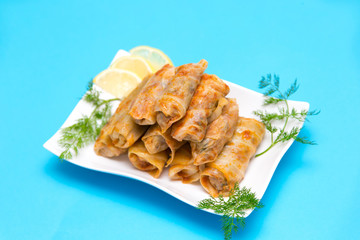 Kohlrouladen - Sarma