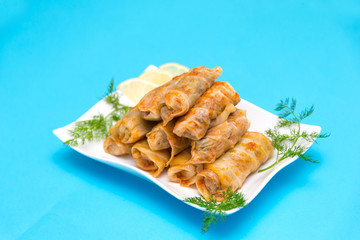 Kohlrouladen - Sarma
