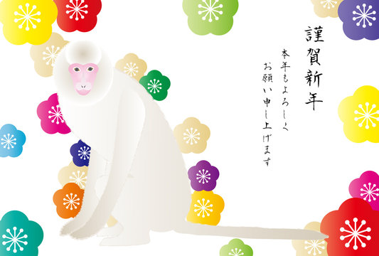 123 Best 白い猿 Images Stock Photos Vectors Adobe Stock