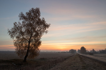 meeting at the dawn of the road