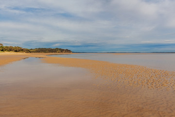 Fototapeta na wymiar Sandy beach at low tide, Venus Bay, Inverloch, Australia