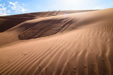 Fototapeta na wymiar 砂漠の生物の足跡