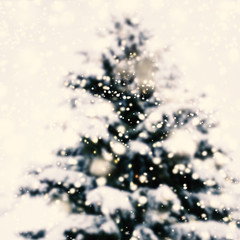 ..Abstract Christmas Card with Defocused Xmas Tree and sparkling