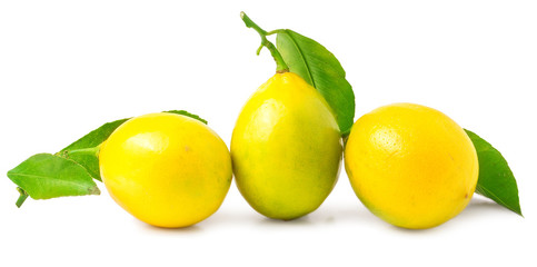 Three lemons on a white background
