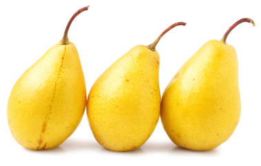 Three yellow pears on a white background