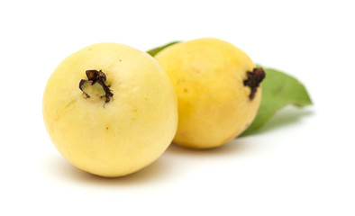 yellow guava fruit