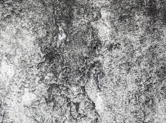 white concrete wall texture