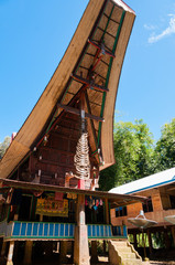 Unique and Colorful traditional House in Tana Toraja under blue sky with buffalo horn