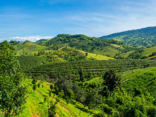 Green Mountains with Clear Beautiful Sky