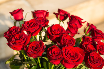 bouquet of blossoming dark red roses