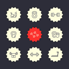 Gym equipment line icons set, vector illustration