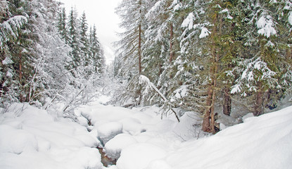 Stream meandering through snow in winter