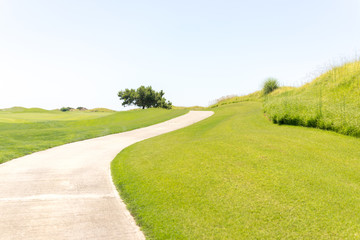 Perfect grass meadow with path