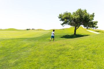 Perfect grass meadow