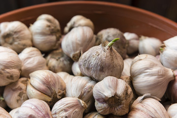 head of garlic in a plastic bowl