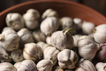 head of garlic in a plastic bowl