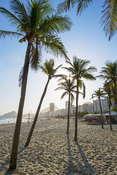 Scenic sunset view of Copacabana Beach with palm tree silhouettes from the Leme neighborhood in Rio de Janeiro, Brazil
