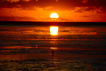 Sonnenuntergang an der Nordsee 