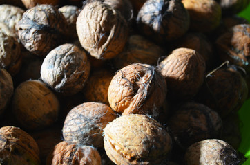 Walnuts