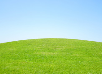 Perfect grass meadow