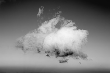 Black and white abstract monsters animals shape clouds in clear blue sky