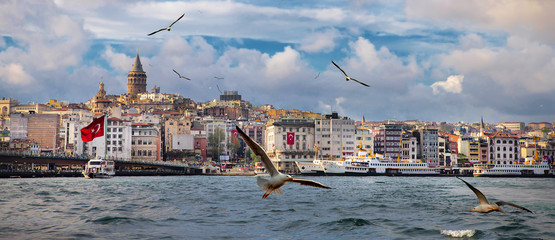 Istanbul la capitale de la Turquie, ville touristique orientale.