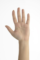 Naklejka premium Human Palm / High resolution image of female hand showing number five shot in studio on white background