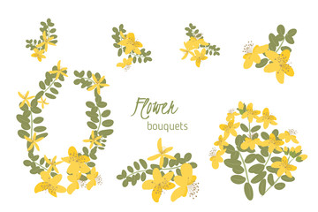 Flora  St. John's wort  retro vintage background