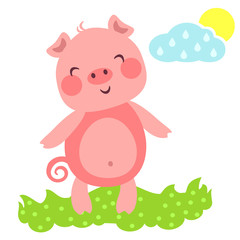 CutePig